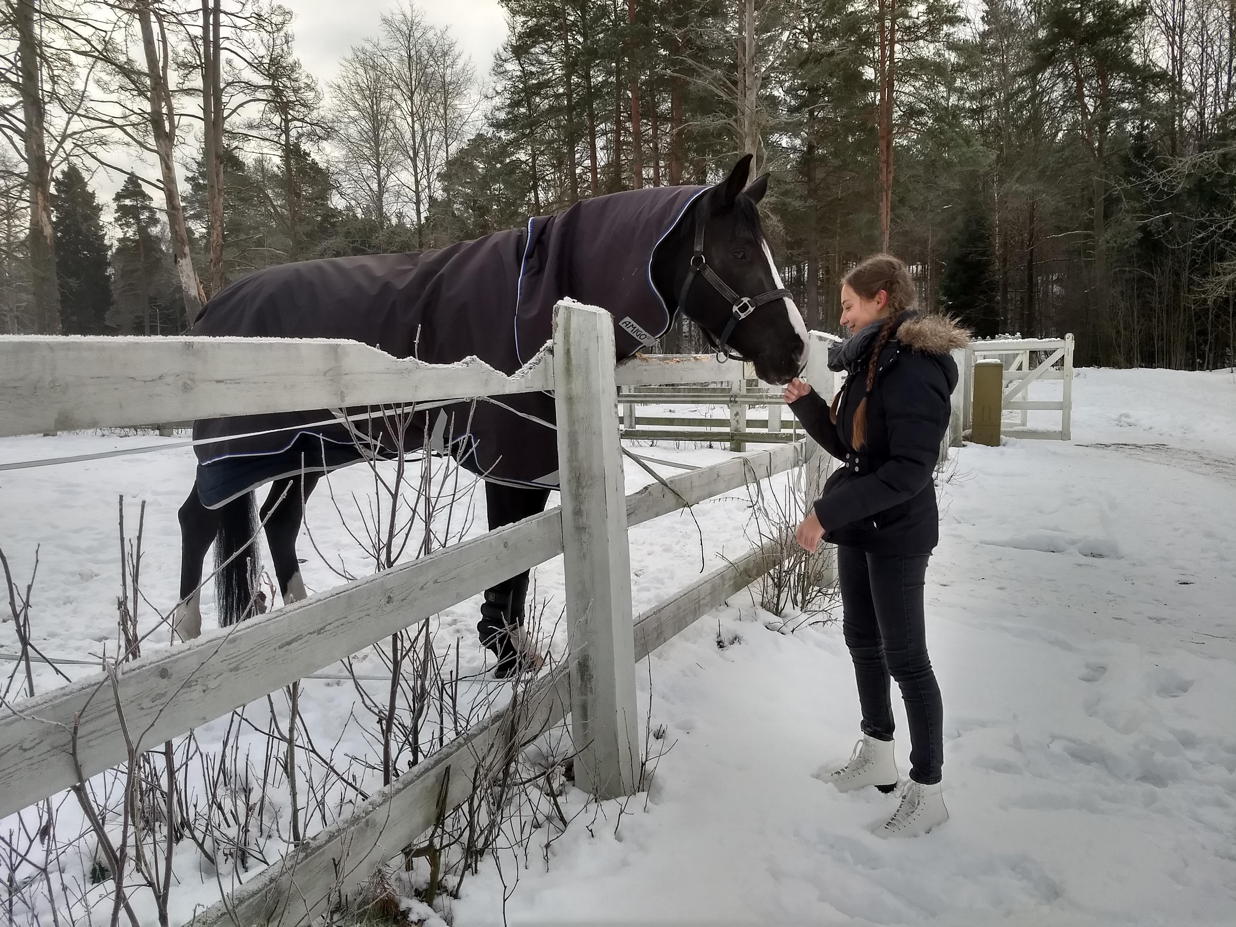 IMG_20190113_114123877_HDR